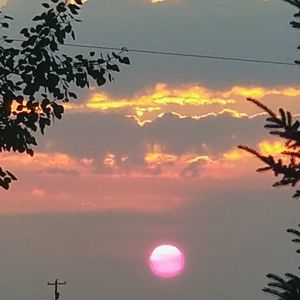 Meet your Posher, Melody